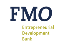 FMO: Dutch Entrepreneurial Development Bank